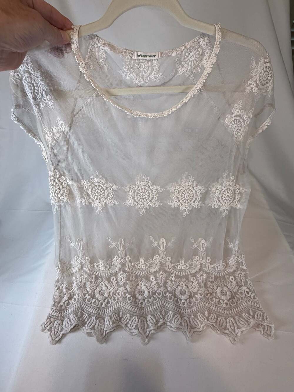 Cottagecore Romantic Breeze Ever Sheer Mesh Floral Embroidered Lace Short Sleeve